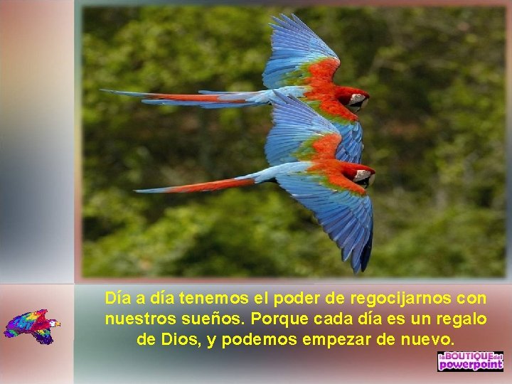 Día a día tenemos el poder de regocijarnos con nuestros sueños. Porque cada día