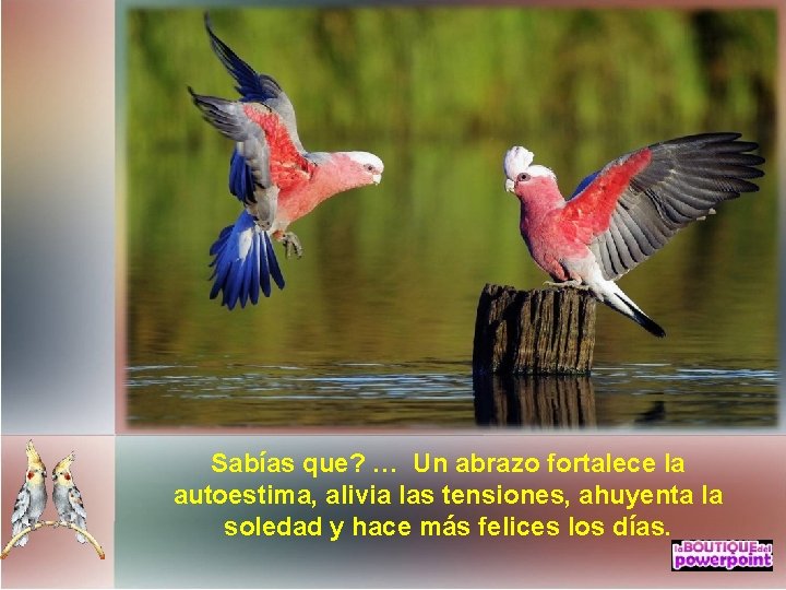 Sabías que? … Un abrazo fortalece la autoestima, alivia las tensiones, ahuyenta la soledad