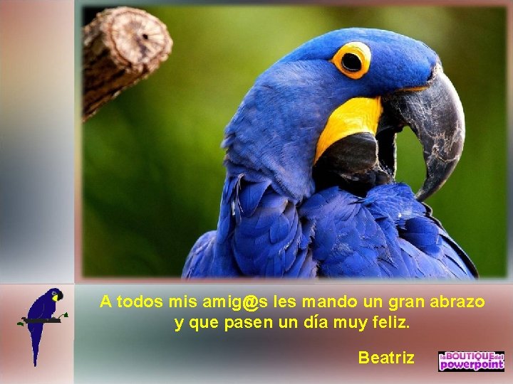 A todos mis amig@s les mando un gran abrazo y que pasen un día
