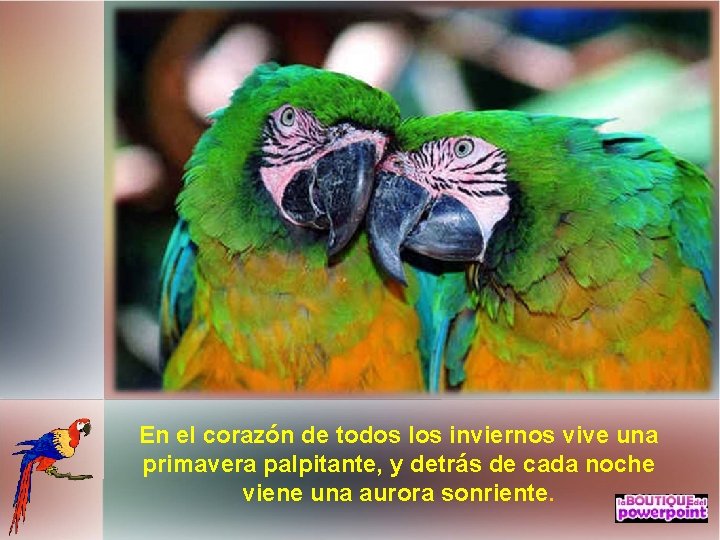En el corazón de todos los inviernos vive una primavera palpitante, y detrás de