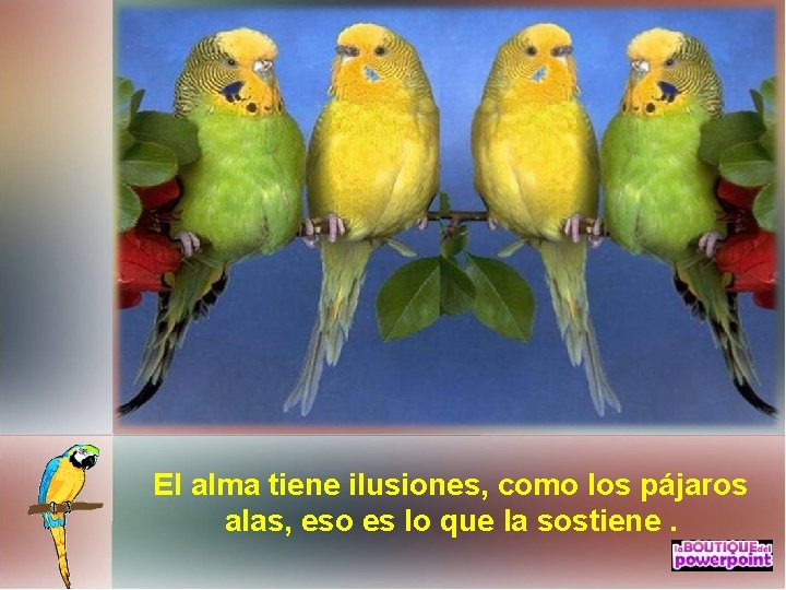 El alma tiene ilusiones, como los pájaros alas, eso es lo que la sostiene.