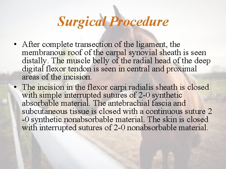 Surgical Procedure • After complete transection of the ligament, the membranous roof of the