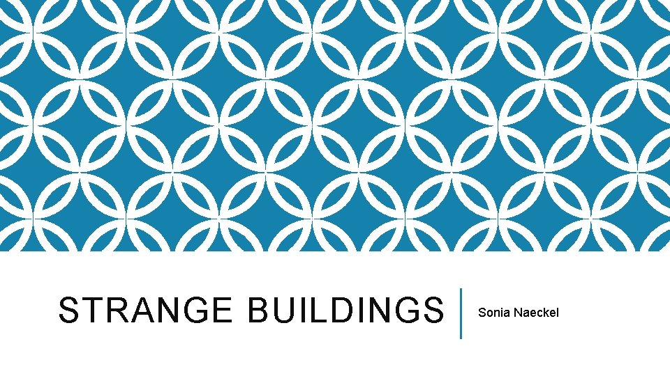 STRANGE BUILDINGS Sonia Naeckel 