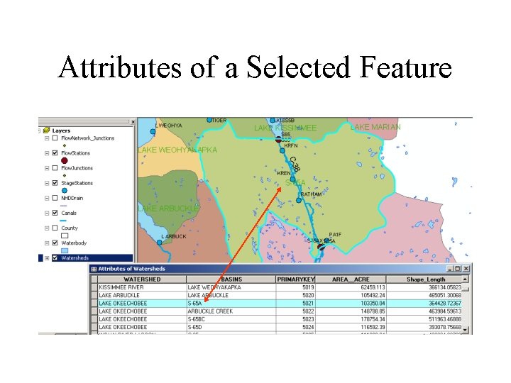 Attributes of a Selected Feature 