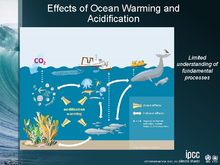 Effects of Ocean Warming and Acidification Limited understanding of fundamental processes 