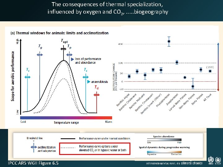 The consequences of thermal specialization, influenced by oxygen and CO 2, . . .