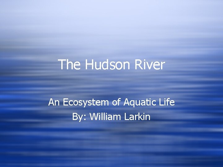 The Hudson River An Ecosystem of Aquatic Life By: William Larkin 