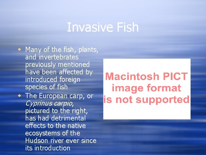 Invasive Fish w Many of the fish, plants, and invertebrates previously mentioned have been