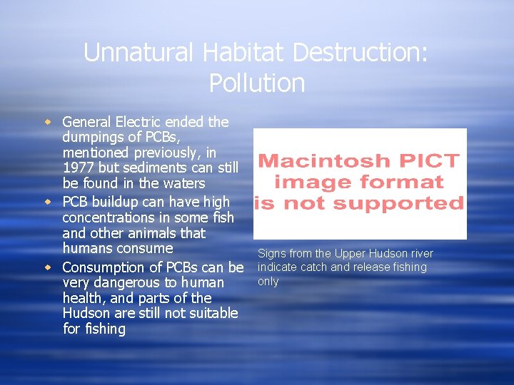 Unnatural Habitat Destruction: Pollution w General Electric ended the dumpings of PCBs, mentioned previously,