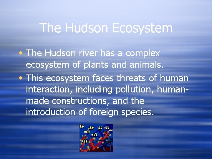 The Hudson Ecosystem w The Hudson river has a complex ecosystem of plants and