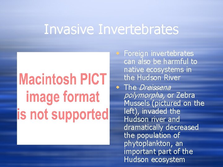 Invasive Invertebrates w Foreign invertebrates can also be harmful to native ecosystems in the