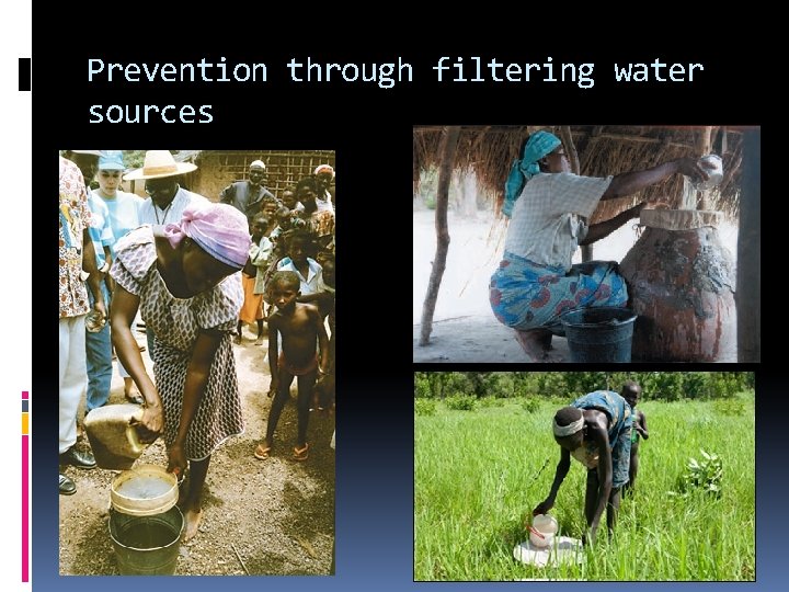 Prevention through filtering water sources 