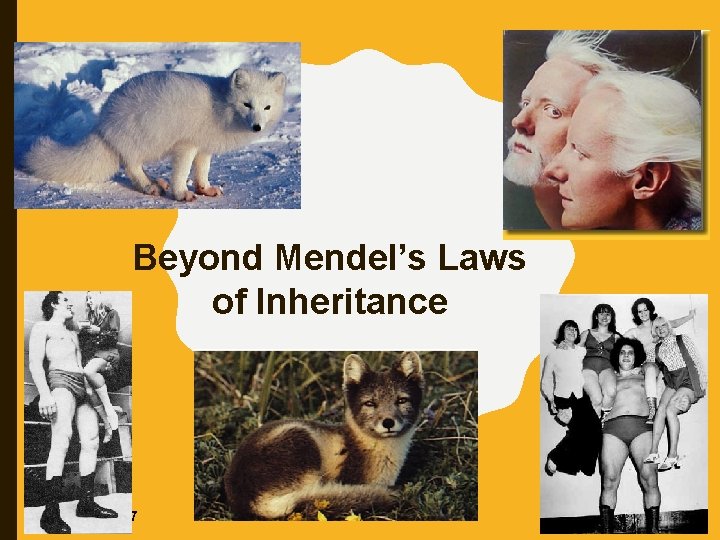Beyond Mendel’s Laws of Inheritance 2006 -2007 