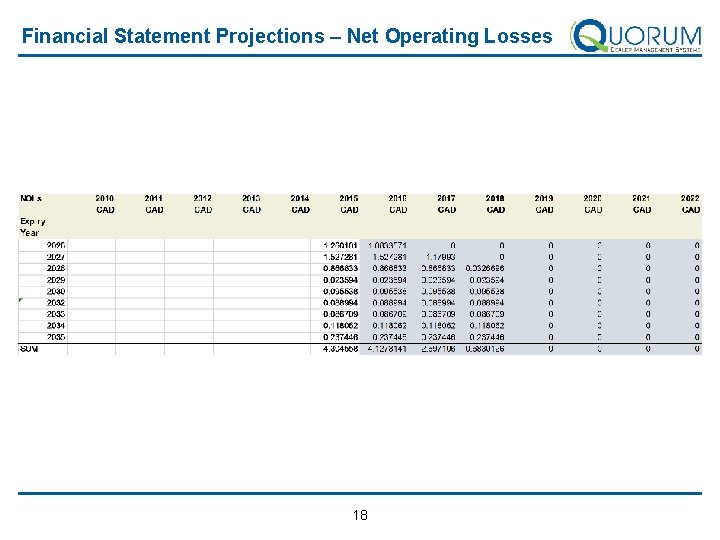 Financial Statement Projections – Net Operating Losses 18 