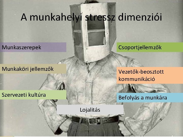 A munkahelyi stressz dimenziói Munkaszerepek Csoportjellemzők Munkaköri jellemzők Vezetők-beosztott kommunikáció Szervezeti kultúra Befolyás a A munkahelyi stressz dimenziói Munkaszerepek Csoportjellemzők Munkaköri jellemzők Vezetők-beosztott kommunikáció Szervezeti kultúra Befolyás a