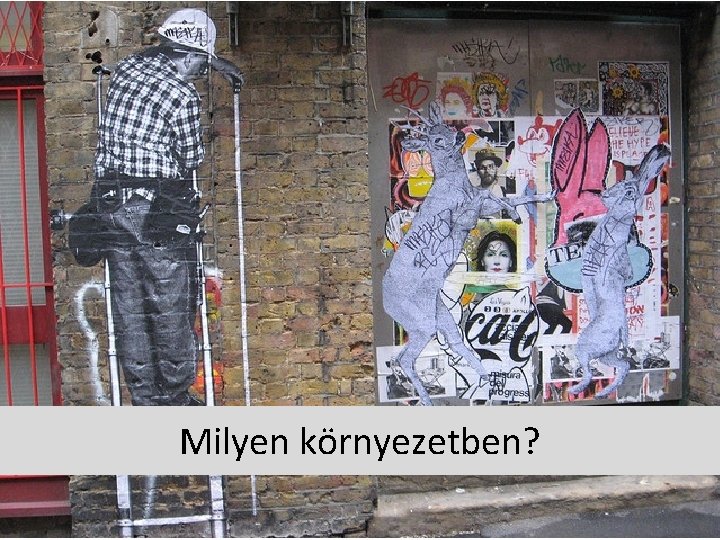 Milyen környezetben? Milyen környezetben?