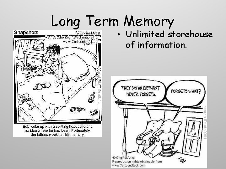 Long Term Memory • Unlimited storehouse of information. 