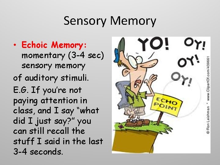 Sensory Memory • Echoic Memory: momentary (3 -4 sec) sensory memory of auditory stimuli.