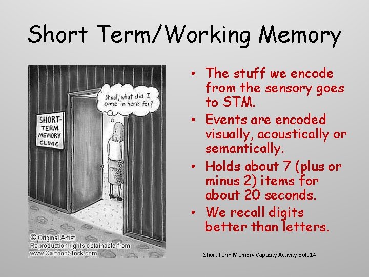 Short Term/Working Memory • The stuff we encode from the sensory goes to STM.