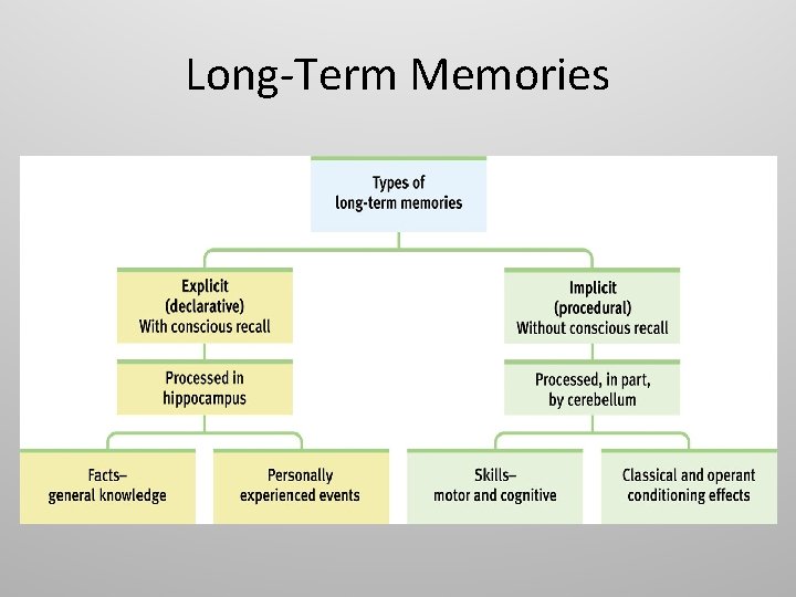 Long-Term Memories 