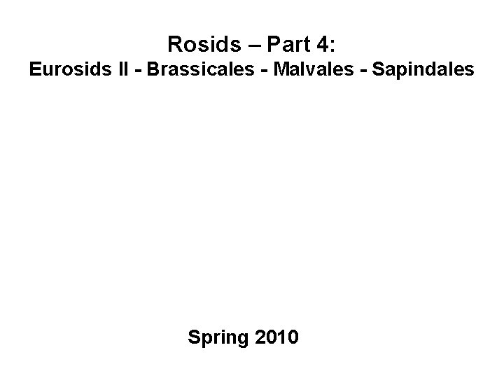 Rosids – Part 4: Eurosids II - Brassicales - Malvales - Sapindales Spring 2010