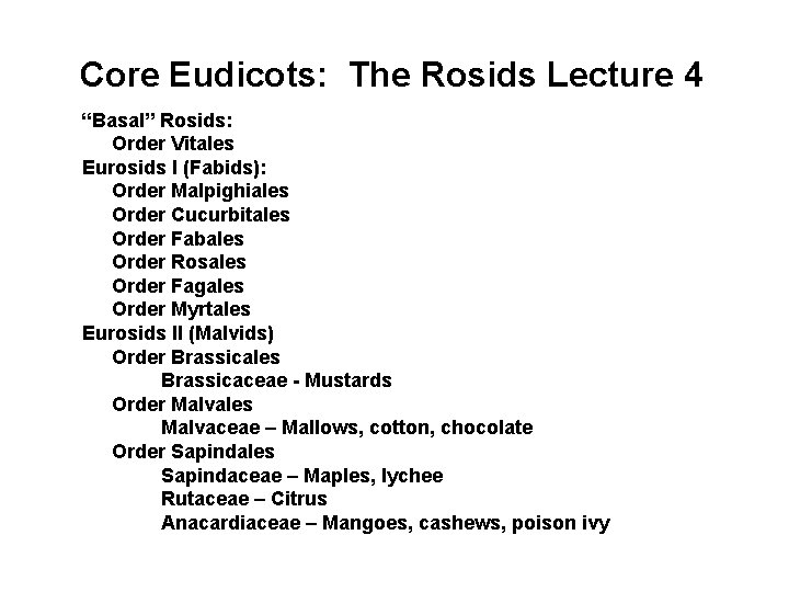 Core Eudicots: The Rosids Lecture 4 “Basal” Rosids: Order Vitales Eurosids I (Fabids): Order