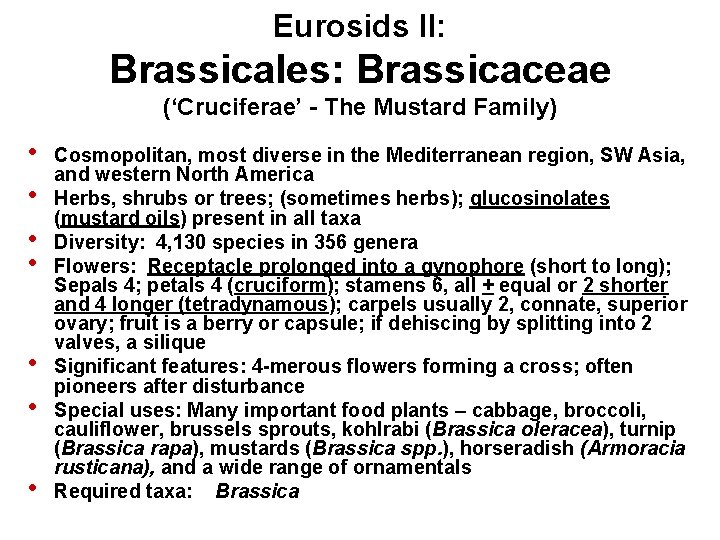 Eurosids II: Brassicales: Brassicaceae (‘Cruciferae’ - The Mustard Family) • • Cosmopolitan, most diverse