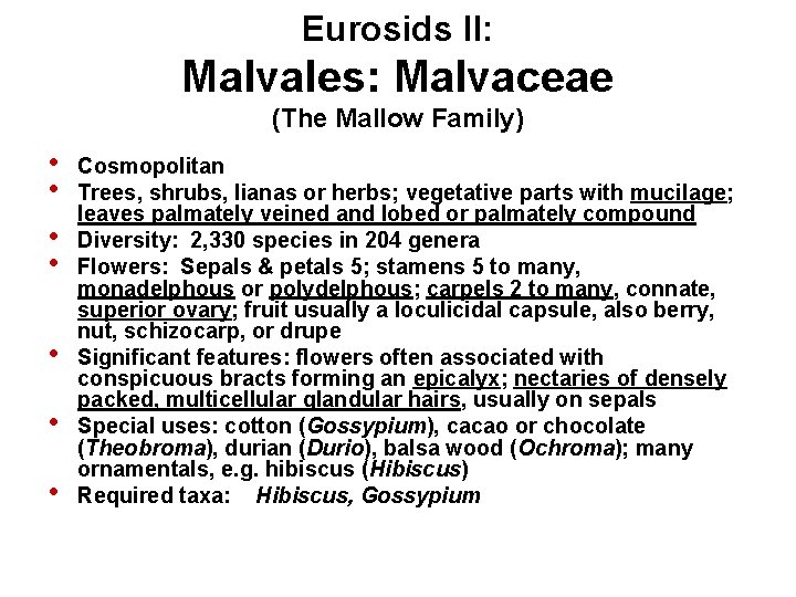 Eurosids II: Malvales: Malvaceae (The Mallow Family) • • Cosmopolitan Trees, shrubs, lianas or
