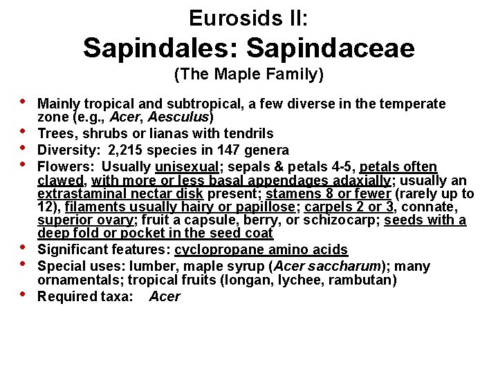 Eurosids II: Sapindales: Sapindaceae (The Maple Family) • • Mainly tropical and subtropical, a