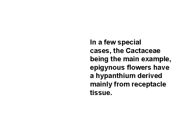 In a few special cases, the Cactaceae being the main example, epigynous flowers have