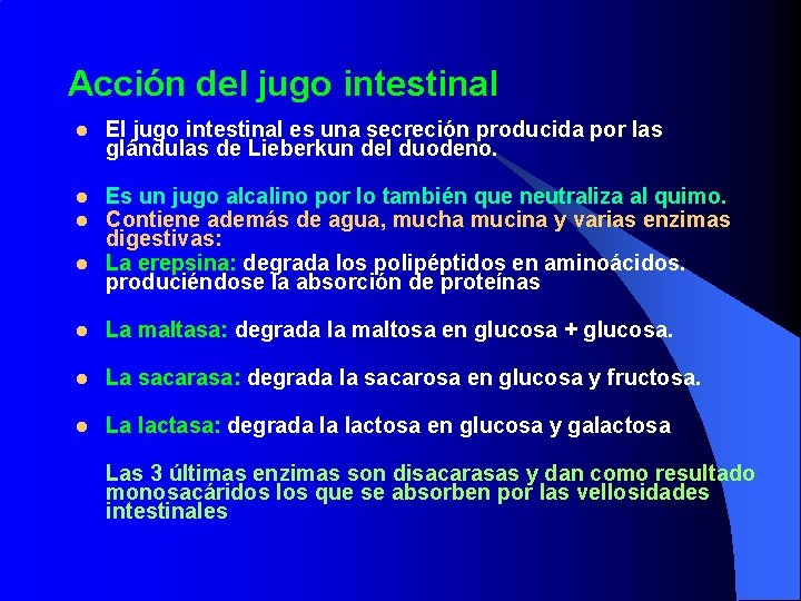 Acción del jugo intestinal l El jugo intestinal es una secreción producida por las