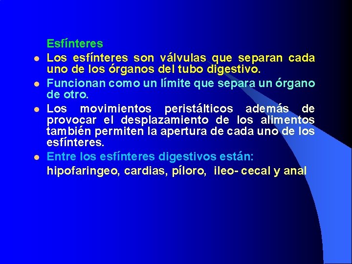 l l Esfínteres Los esfínteres son válvulas que separan cada uno de los órganos