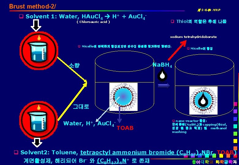 Brust method-2/ 제 5 -6주: MNP q Solvent 1: Water, HAu. Cl 4 H+