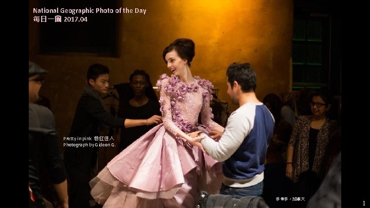 National Geographic Photo of the Day 每日一圖 2017. 04 Pretty in pink 粉紅佳人 Photograph National Geographic Photo of the Day 每日一圖 2017. 04 Pretty in pink 粉紅佳人 Photograph