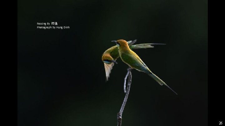 Passing By 路過 Photograph by Hung Dinh 26 Passing By 路過 Photograph by Hung Dinh 26