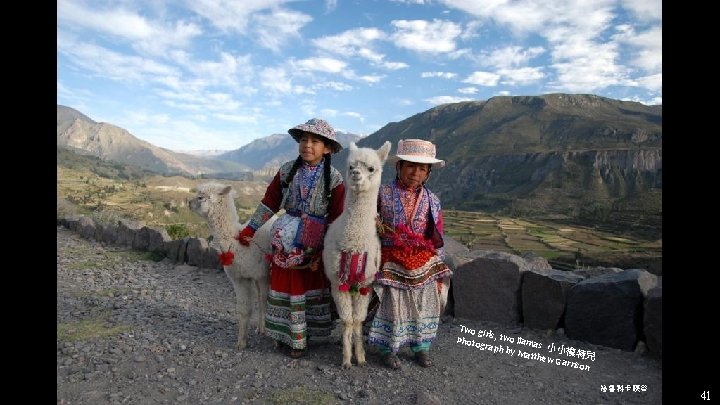 Two g irls Photo , two llama graph s 小小 by Ma tthew 模特兒 Two g irls Photo , two llama graph s 小小 by Ma tthew 模特兒