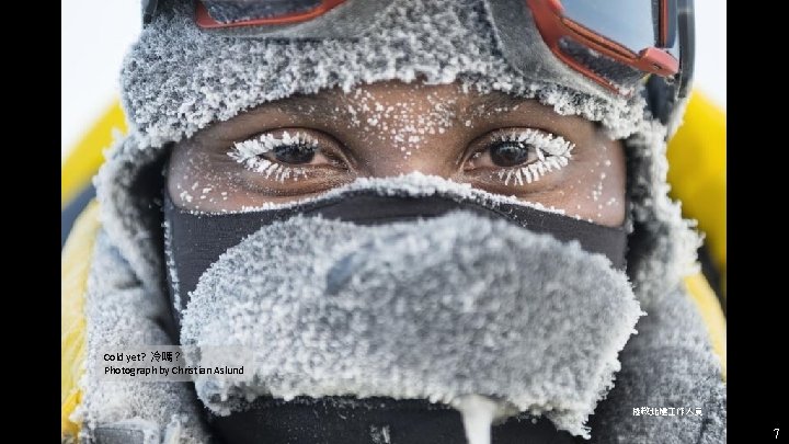 Cold yet? 冷嗎? Photograph by Christian Aslund 拯救北極 作人員 7 Cold yet? 冷嗎? Photograph by Christian Aslund 拯救北極 作人員 7