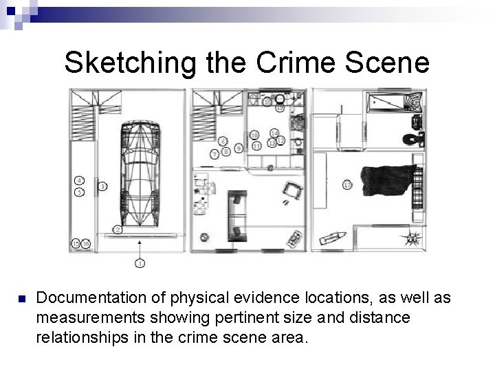 Sketching the Crime Scene n Documentation of physical evidence locations, as well as measurements