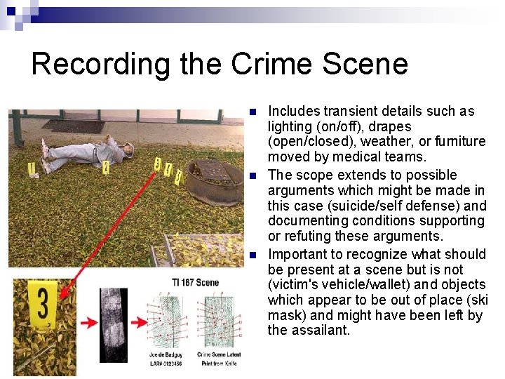 Recording the Crime Scene n n n Includes transient details such as lighting (on/off),