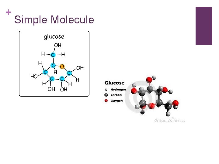 + Simple Molecule 