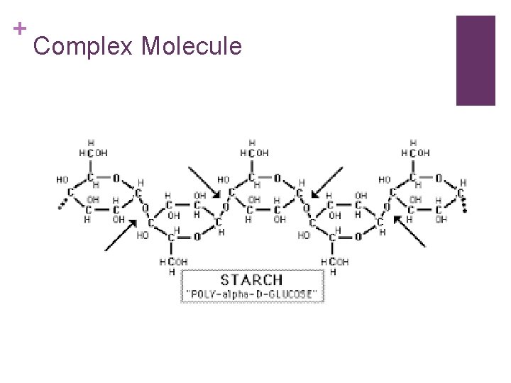 + Complex Molecule 