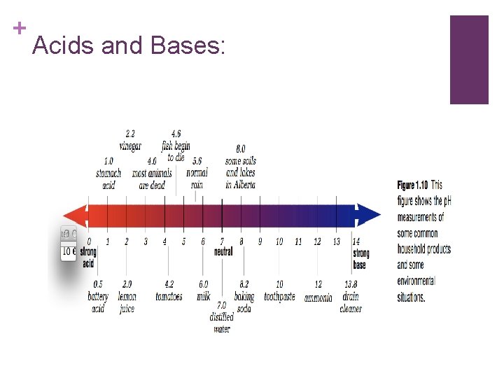 + Acids and Bases: 