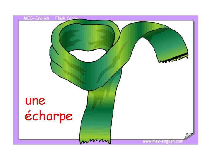 une écharpe 