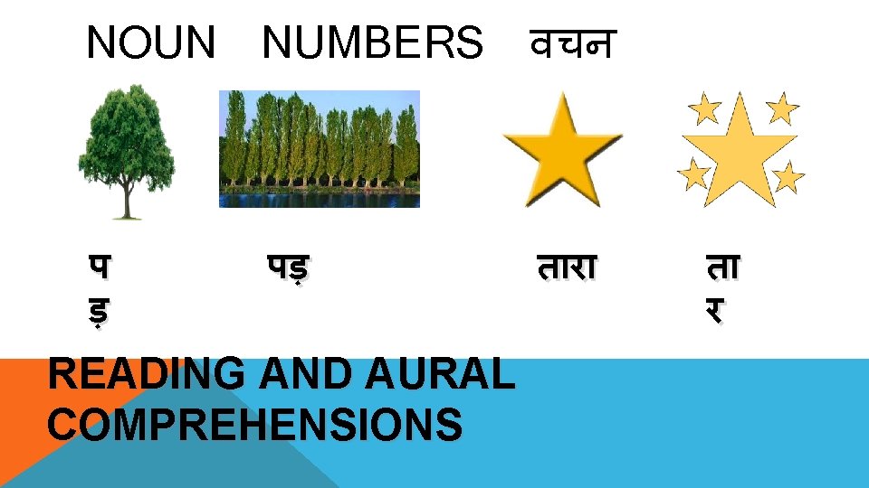 NOUN NUMBERS वचन प ड़ पड़ त र READING AND AURAL COMPREHENSIONS त र