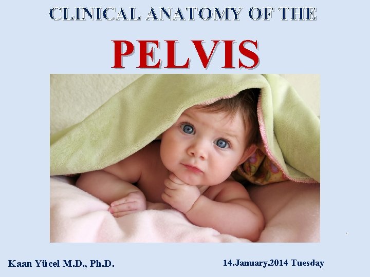 CLINICAL ANATOMY OF THE PELVIS Kaan Yücel M. D. , Ph. D. 14. January.