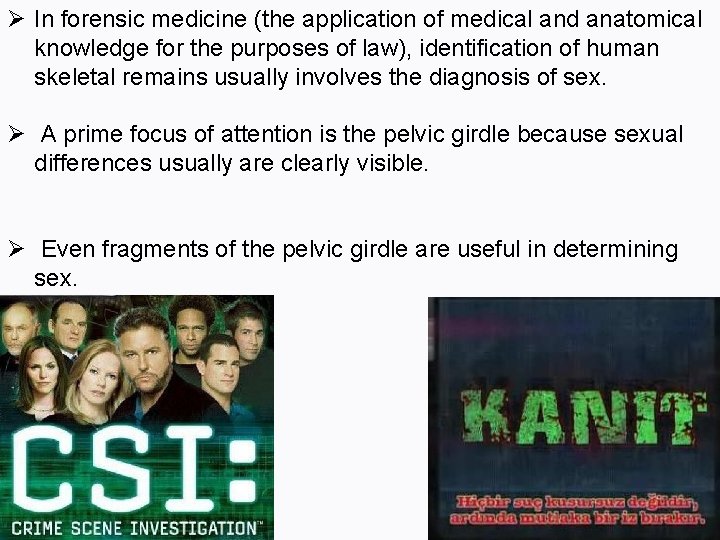 Ø In forensic medicine (the application of medical and anatomical knowledge for the purposes