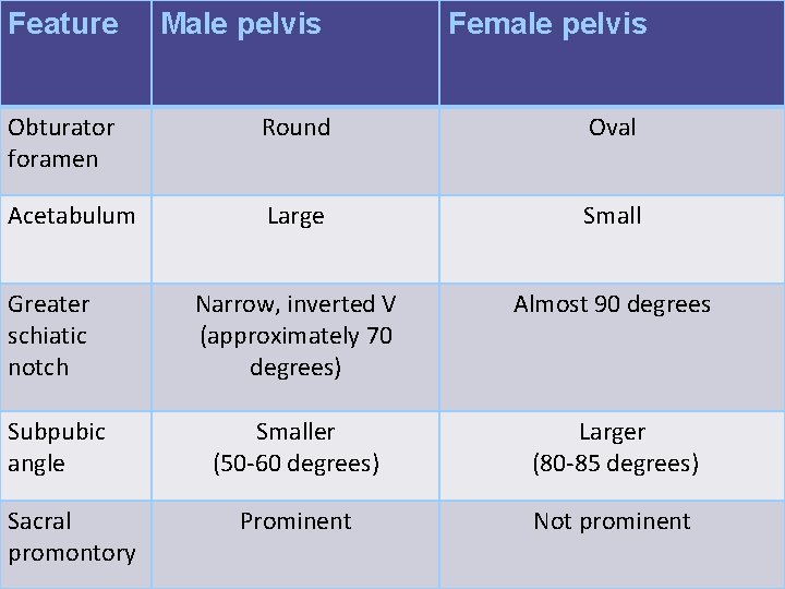 Feature Male pelvis Female pelvis Obturator foramen Round Oval Acetabulum Large Small Narrow, inverted