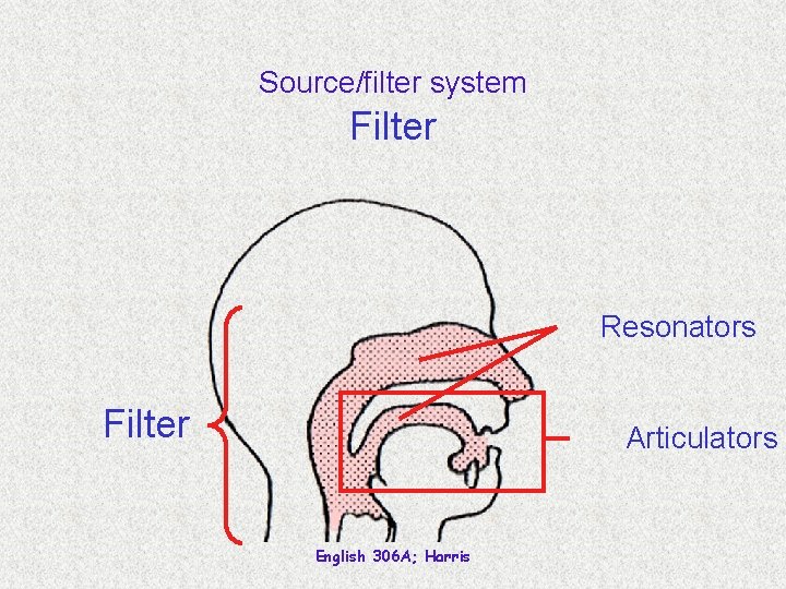 Source/filter system Filter Resonators Filter Articulators English 306 A; Harris 