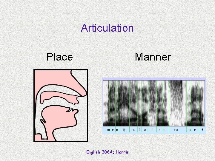 Articulation Place Manner English 306 A; Harris 