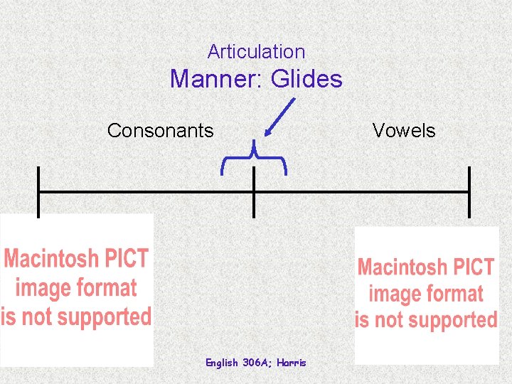Articulation Manner: Glides Consonants English 306 A; Harris Vowels 